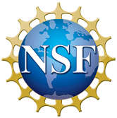 The NSF logo